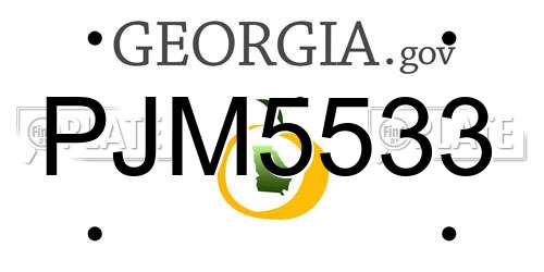 PJM5533 Georgia License Plate