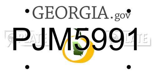 PJM5991 Georgia License Plate