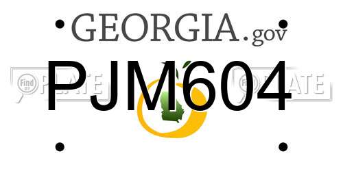 PJM604 Georgia License Plate