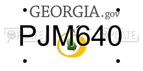 PJM640 Georgia License Plate