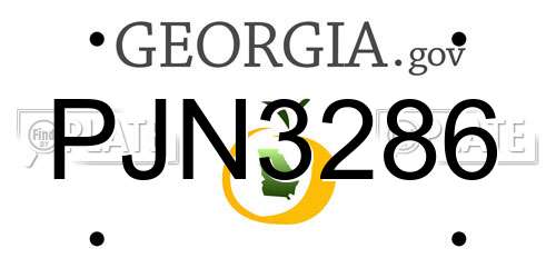 PJN3286 Georgia License Plate