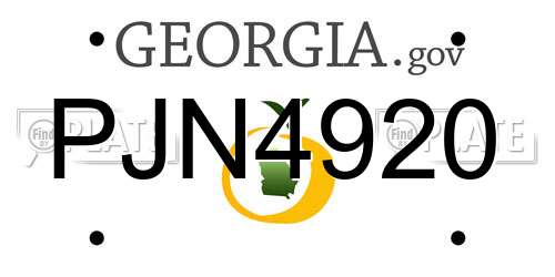 PJN4920 Georgia License Plate