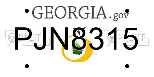 PJN8315 Georgia License Plate
