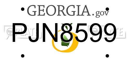 PJN8599 Georgia License Plate
