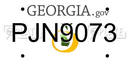 PJN9073 Georgia License Plate