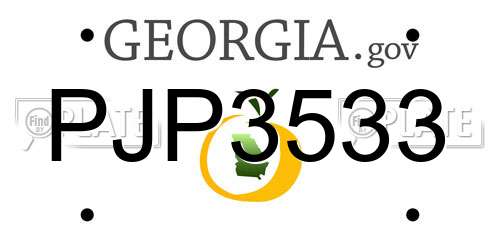 PJP3533 Georgia License Plate