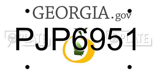 PJP6951 Georgia License Plate