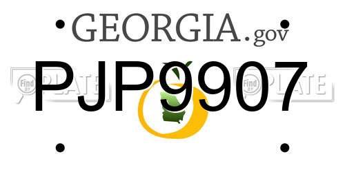 PJP9907 Georgia License Plate
