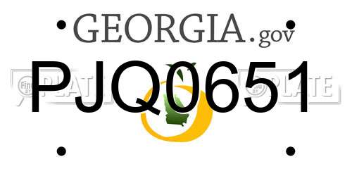 PJQ0651 Georgia License Plate