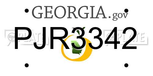 PJR3342 Georgia License Plate