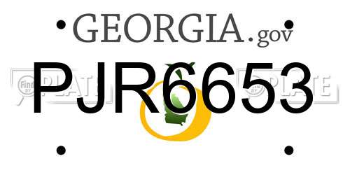 PJR6653 Georgia License Plate