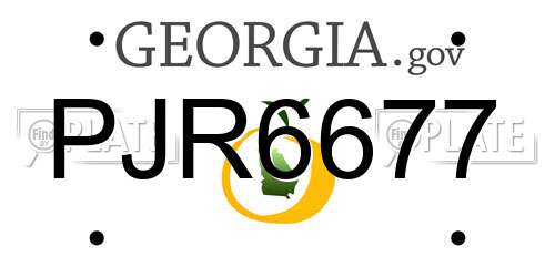 PJR6677 Georgia License Plate