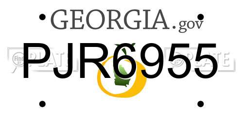 PJR6955 Georgia License Plate