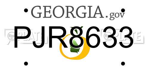 PJR8633 Georgia License Plate