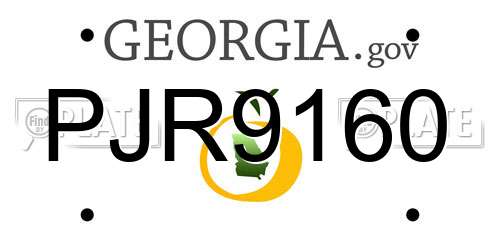 PJR9160 Georgia License Plate