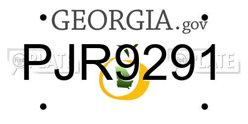 PJR9291 Georgia License Plate