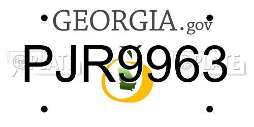 PJR9963 Georgia License Plate