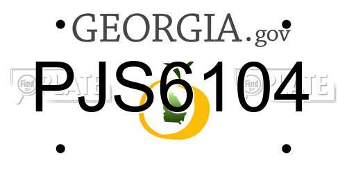 PJS6104 Georgia License Plate