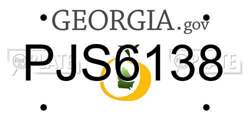 PJS6138 Georgia License Plate