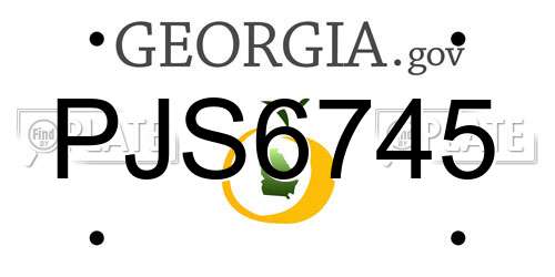 PJS6745 Georgia License Plate