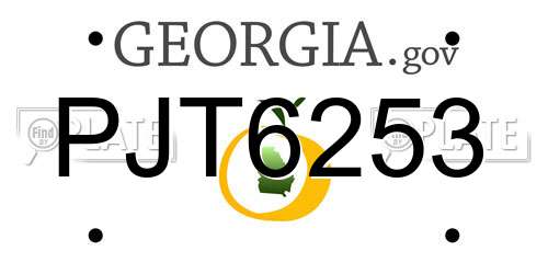 PJT6253 Georgia License Plate