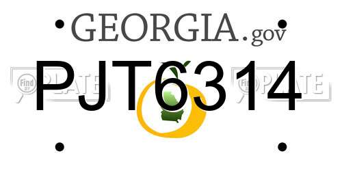 PJT6314 Georgia License Plate
