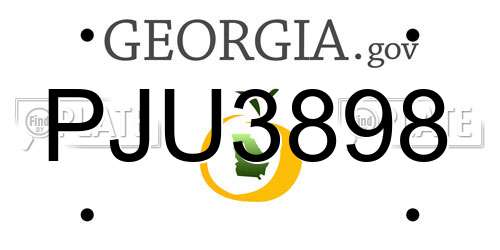 PJU3898 Georgia License Plate