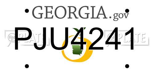 PJU4241 Georgia License Plate