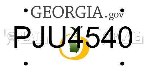 PJU4540 Georgia License Plate