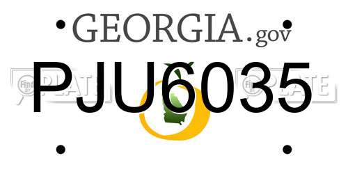 PJU6035 Georgia License Plate