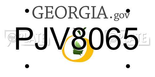 PJV8065 Georgia License Plate