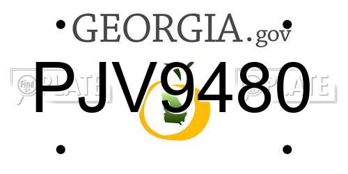 PJV9480 Georgia License Plate
