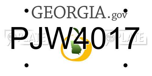 PJW4017 Georgia License Plate