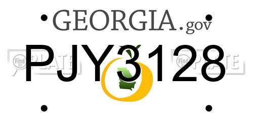 PJY3128 Georgia License Plate