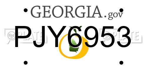PJY6953 Georgia License Plate