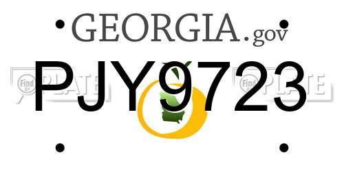 PJY9723 Georgia License Plate