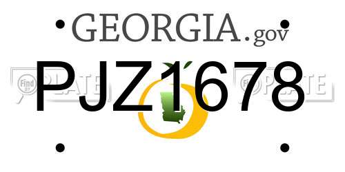 PJZ1678 Georgia License Plate