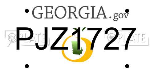 PJZ1727 Georgia License Plate