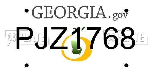 PJZ1768 Georgia License Plate
