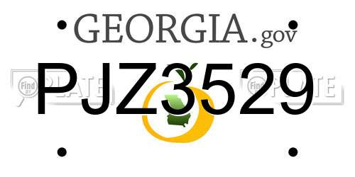 PJZ3529 Georgia License Plate