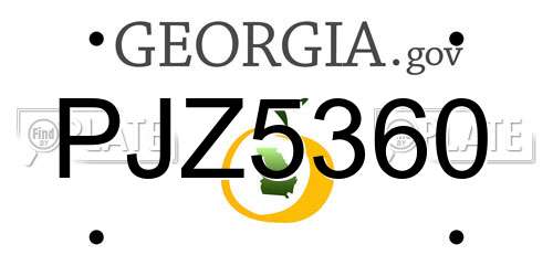 PJZ5360 Georgia License Plate