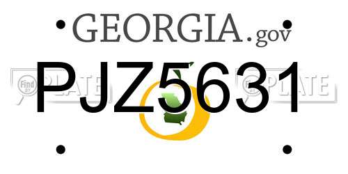 PJZ5631 Georgia License Plate