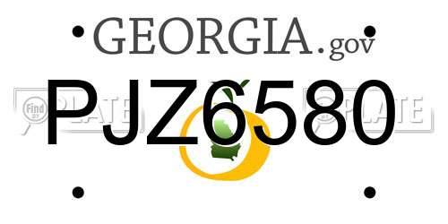PJZ6580 Georgia License Plate