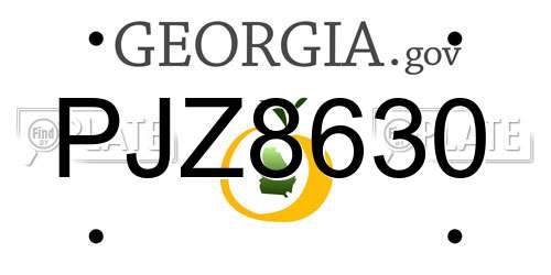 PJZ8630 Georgia License Plate