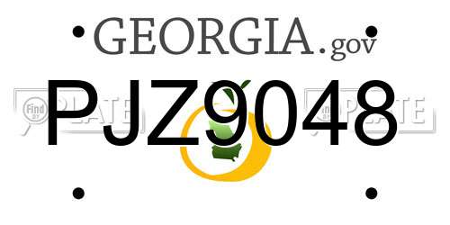 PJZ9048 Georgia License Plate