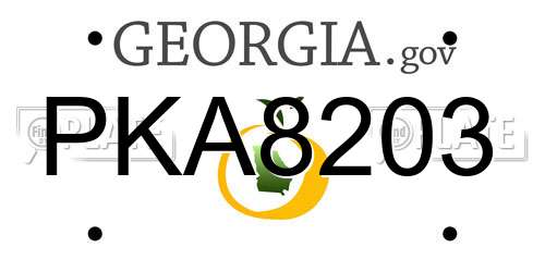 PKA8203 Georgia License Plate