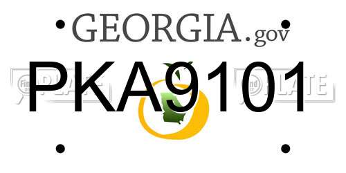 PKA9101 Georgia License Plate