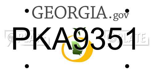 PKA9351 Georgia License Plate