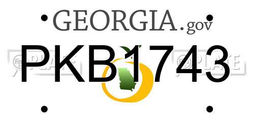 PKB1743 Georgia License Plate