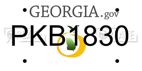 PKB1830 Georgia License Plate